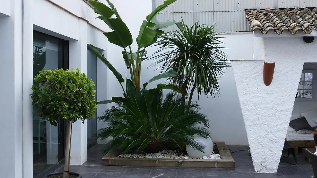 Hotel Salome Calafell İspanya